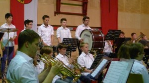 Musikerziehung